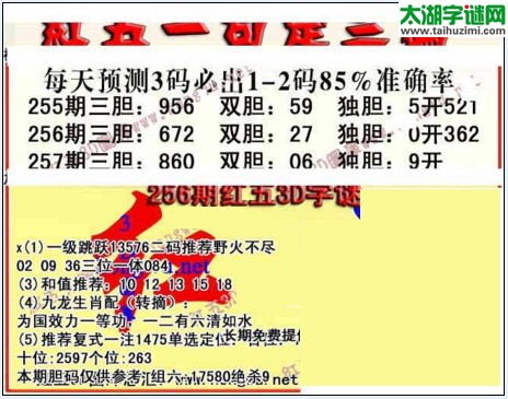 3d红五图库玄机图第2017257期