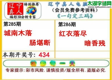 辽宁真人一句定三码-2017286期