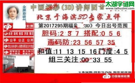 于海滨专家点评17295期