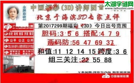 于海滨专家点评17299期