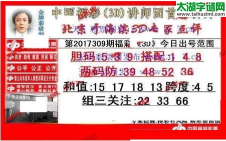 于海滨专家点评17309期