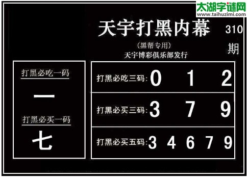 3d310期：天宇一句定三码+胆码图