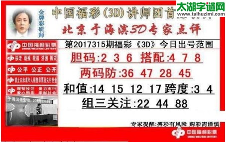 于海滨专家点评17315期