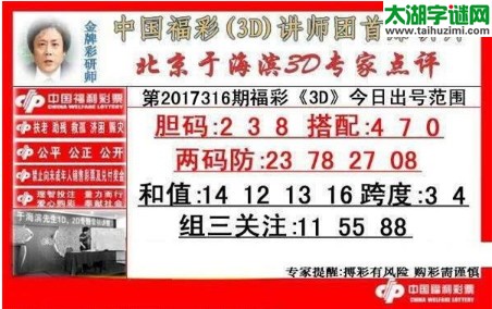 于海滨专家点评17316期