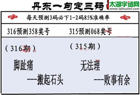 福彩3d第17316期山东真诀