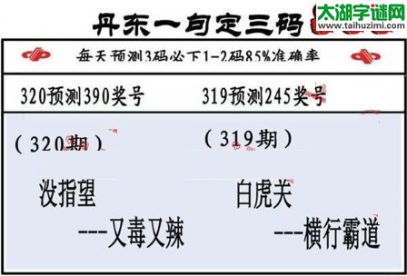 3d第2017320期丹东一句定三码