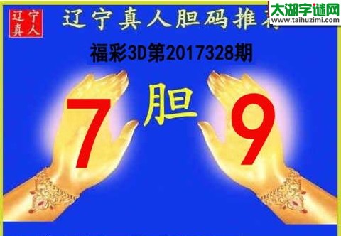 辽宁真人胆码图17328期