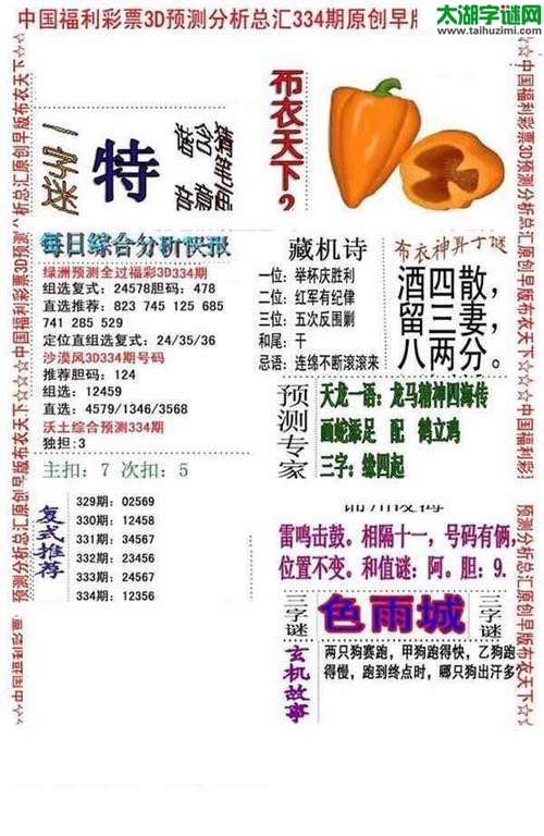 3d早版布衣天下图谜2017334期