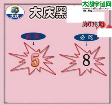 3d033期：大庆黑胆王全图+一语真言