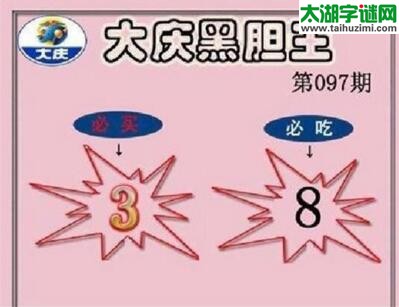 3d097期：大庆黑胆王全图+一语真言