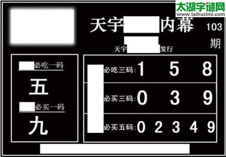 3d103期：天宇一句定三码+胆码图