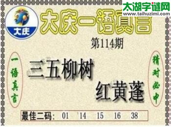 大庆黑胆王图18114期