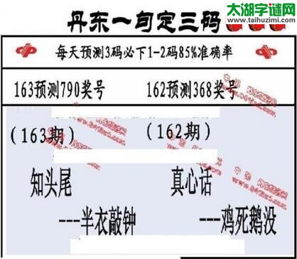 福彩3d第18163期山东真诀