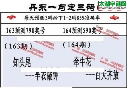 福彩3d第18164期山东真诀