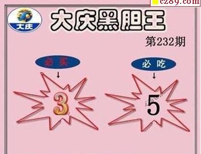 大庆黑胆王图18232期