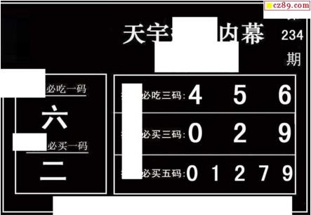 3d234期：天宇一句定三码+胆码图