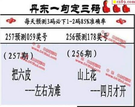 福彩3d第18257期山东真诀