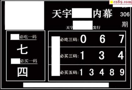 3d306期：天宇一句定三码+胆码图