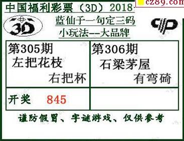 蓝仙子一句定三码18306期