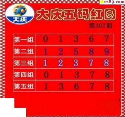 大庆黑胆王图18307期