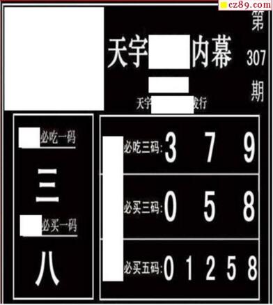 3d307期：天宇一句定三码+胆码图