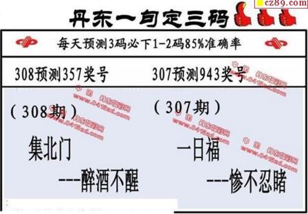 福彩3d第18308期山东真诀