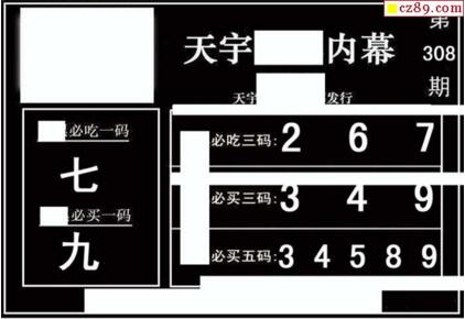 3d308期：天宇一句定三码+胆码图