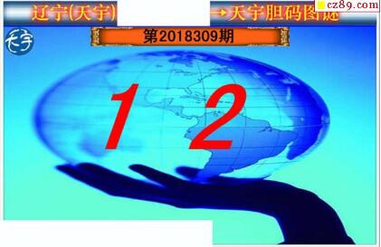 3d309期：天宇一句定三码+胆码图