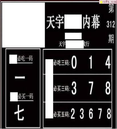 3d312期：天宇一句定三码+胆码图