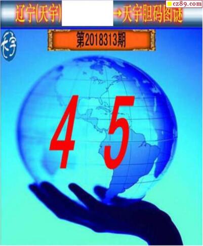 3d313期：天宇一句定三码+胆码图