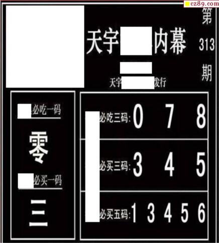 3d313期：天宇一句定三码+胆码图