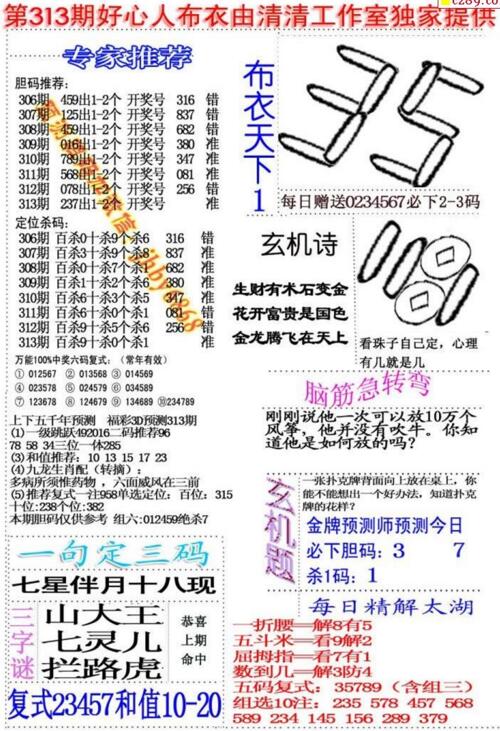 福彩3d好心人布衣-18313期