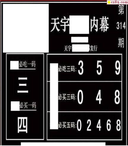 3d314期：天宇一句定三码+胆码图