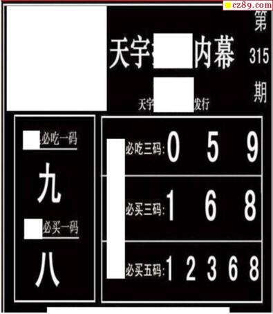 3d315期：天宇一句定三码+胆码图