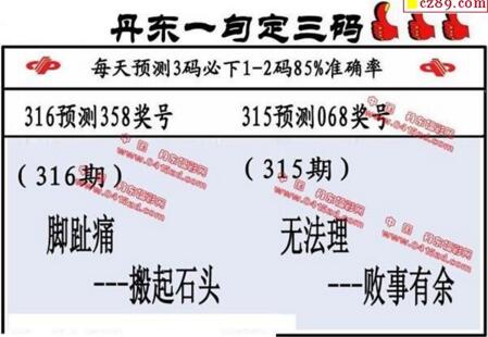 福彩3d第18316期山东真诀