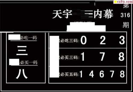 3d316期：天宇一句定三码+胆码图