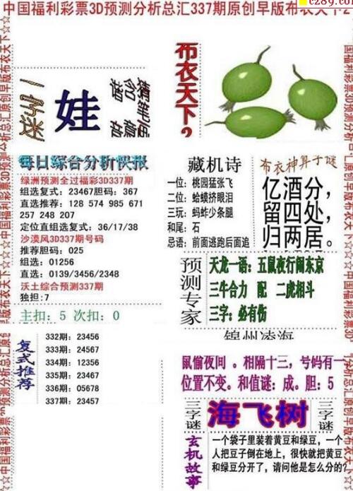 3d早版布衣天下图谜2018337期