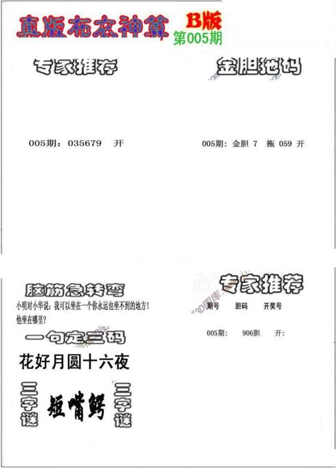 3d布衣神算AB版图谜2019005期